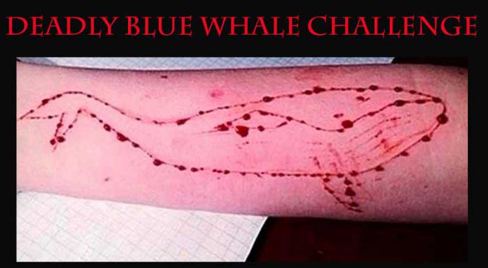 نهنگ آبی شما را وادار به خودکشی می‌کند 11