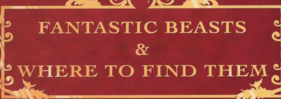 Harry Potter: Fantastic Beasts and Where to Find Them در راه است! 1