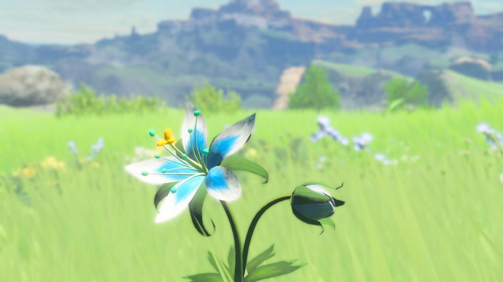تصاویر جدید Zelda: Breath of the Wild منتشر شد 5