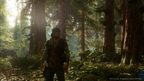 تصاویر زیبا Days Gone با کیفیت 4K در حال اجرا روی PS4 Pro 5