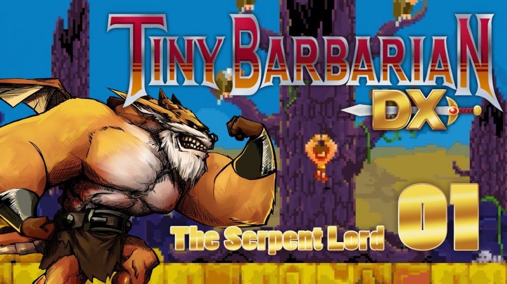 اعلام تاریخ عرضه Tiny Barbarian DX
