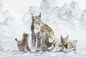تاریخ عرضه Shelter Generations مشخص شد